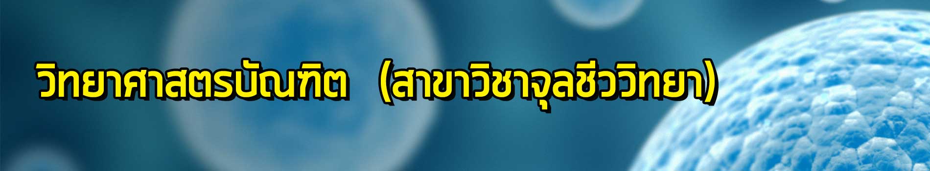 ภาพส่วนหัวหลักสูตร