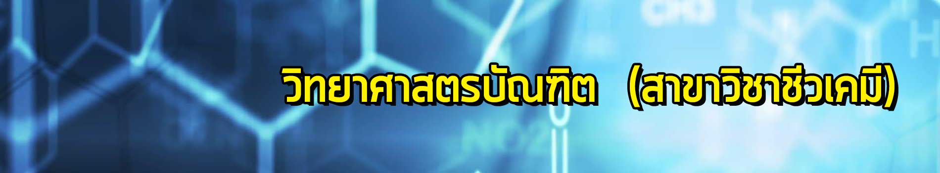 ภาพส่วนหัวหลักสูตร