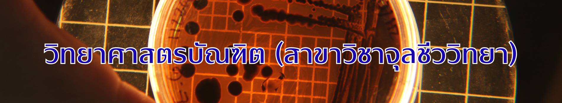 ภาพส่วนหัวหลักสูตร